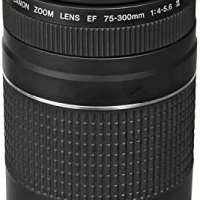 Canon-EF-75-300mm-F4.0-5.6-III